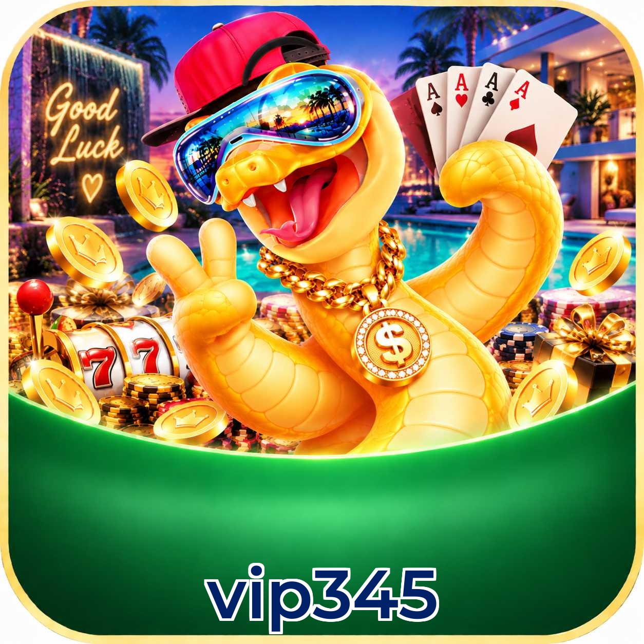 vip345 Logo