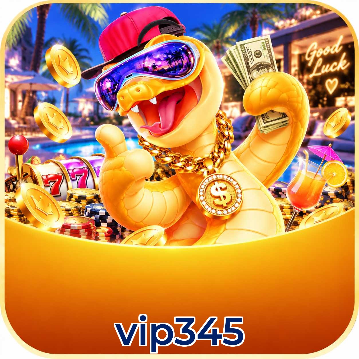 vip345 System Requirements