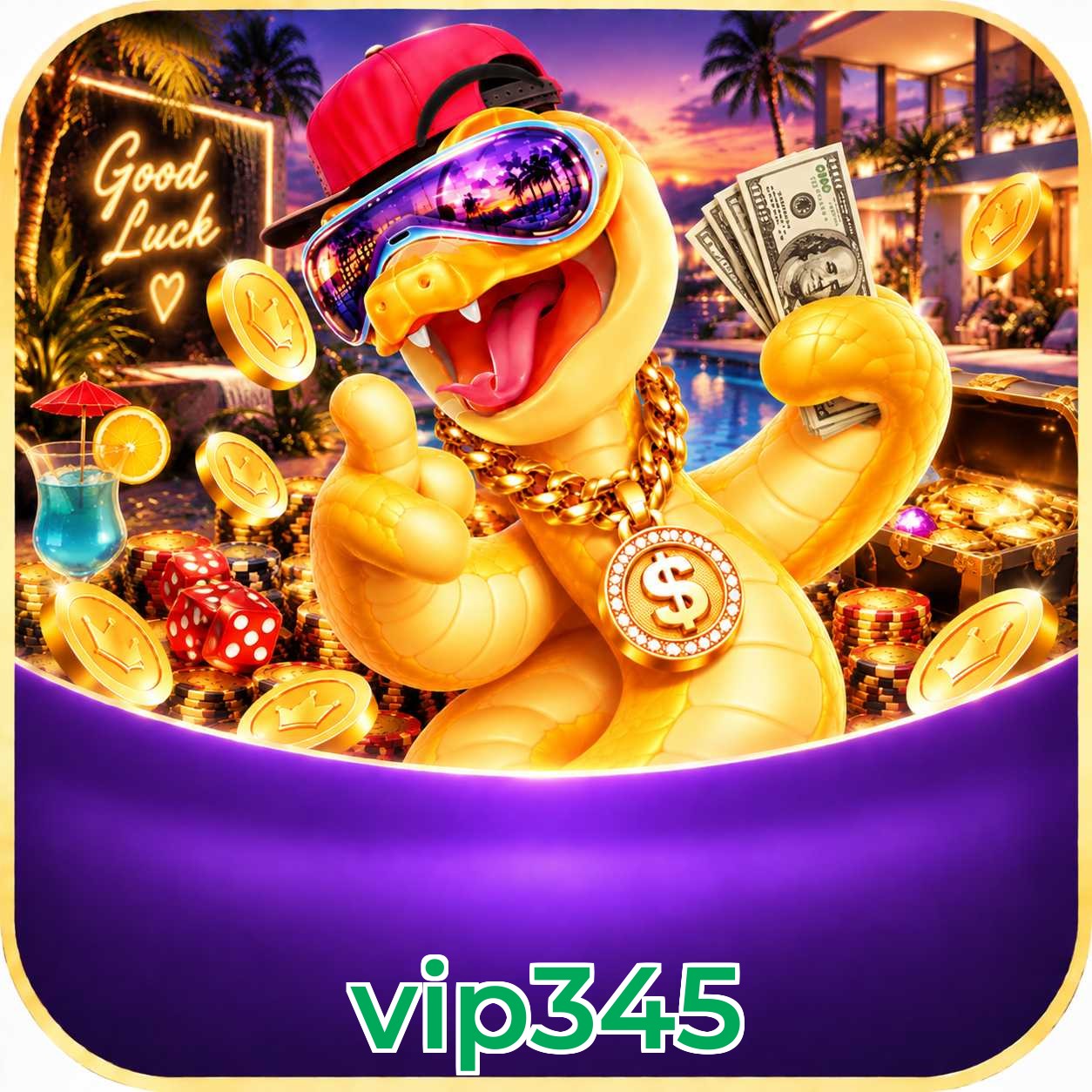 vip345 Interface